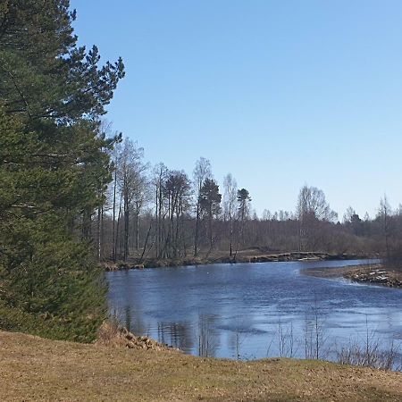Rannapungerja Puhkemaja Villa Luaran gambar